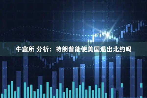 牛鑫所 分析：特朗普能使美国退出北约吗