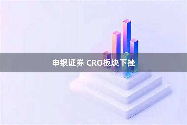 申银证券 CRO板块下挫