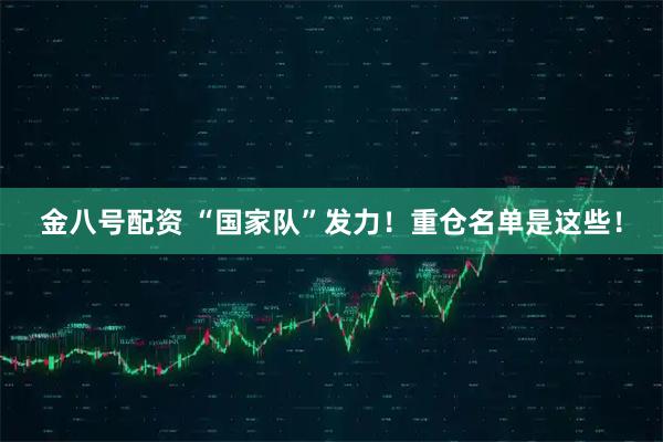 金八号配资 “国家队”发力！重仓名单是这些！